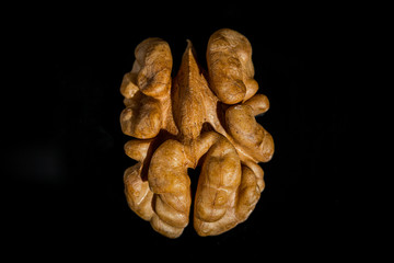 walnut on a black background