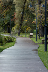 Obraz premium Pedestrian walkway for exercise lined up with beautiful tall trees