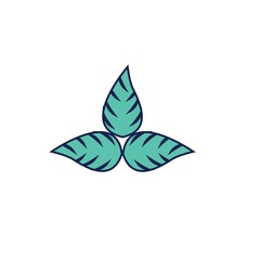 leaves icon vector illustration design
