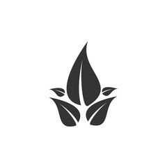 leaves icon vector illustration design