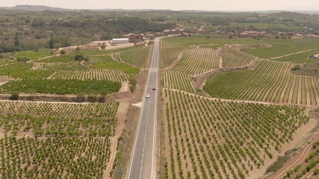 La Rioja Wine Region Spain. 4k DRONE aerial view. Vineyards growing grapes for red wine. Green rolling hills. Dramatic landscape. Viticulture, scenic, drinking. Road Trip, Cars Driving, Cinematic.