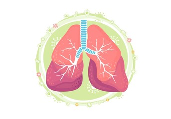 Human lungs. Vector illustration