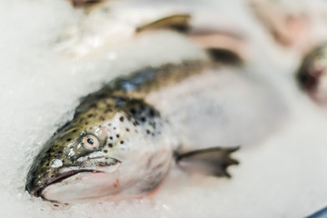 Fish put up for sale at a supermarket stall