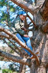 Child girl climbing in a tree, bright sunlight, beautiful day