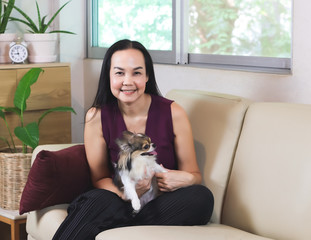  Asian woman sitting on couch in living room with her Chihuahua dog on lap smiling and looking at camera , stay home , social distancing concept.