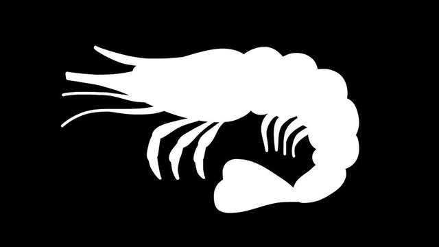 Animated shrimp pattern with moving tentacles with alpha channel in black and white brightness mask for cutting out the background during video editing. Looping video.