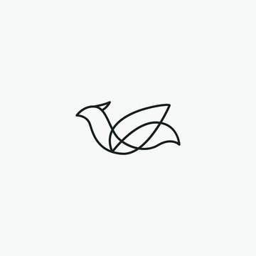 	
Flying Bird vector logo. Luxury bird, eagle, hawk, vector line logotype design. Universal premium falcon wing symbol logotype.