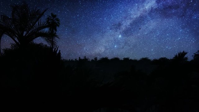 Beautiful starry sky over tropical rain forest jungle, 4K