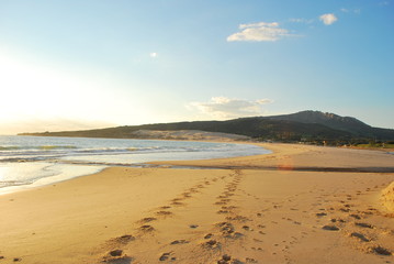 beach in the morning