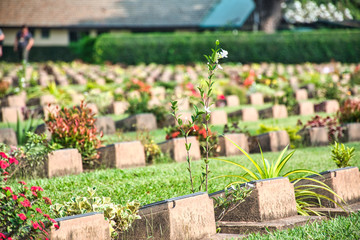 Kanchanaburi War Cemetery or Don-Rak War Cemetery