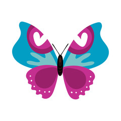 beautiful butterfly purple insect flat style icon