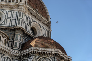 Cathedral of Florence 2