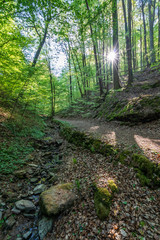 Klingenbergs Seltenbachschlucht