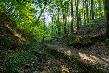 Klingenbergs Seltenbachschlucht