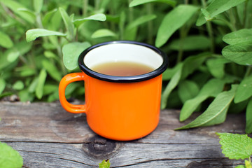 Enamel cup of tea. Cup of herbal tea. Cup of sage tea in the garden
