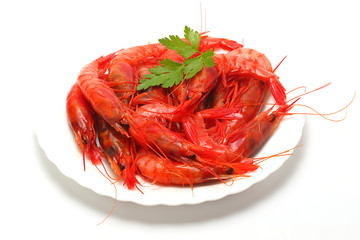 composición
 aislada de diferentes mariscos 