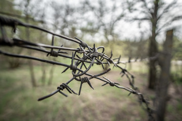 Close up of an old, rusty barbed wire in a forest indoors.