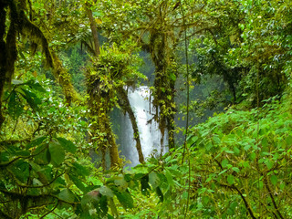 Naklejka na ściany i meble La Paz Waterfall Gardens Nature Park, Alajuela, Costa Rica