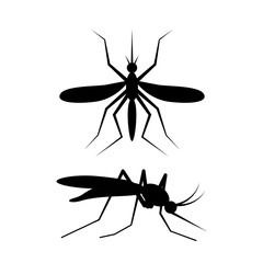 Black mosquito sign drinks blood, vector art