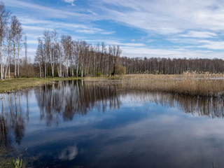 Fototapeta na wymiar sunny spring day landscape with a lake, dry reeds along the water's edge