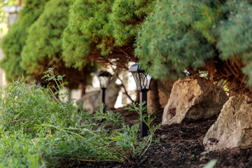 Landscape design, an element of rockery - a beautiful composition of stones, garden lamp and plants