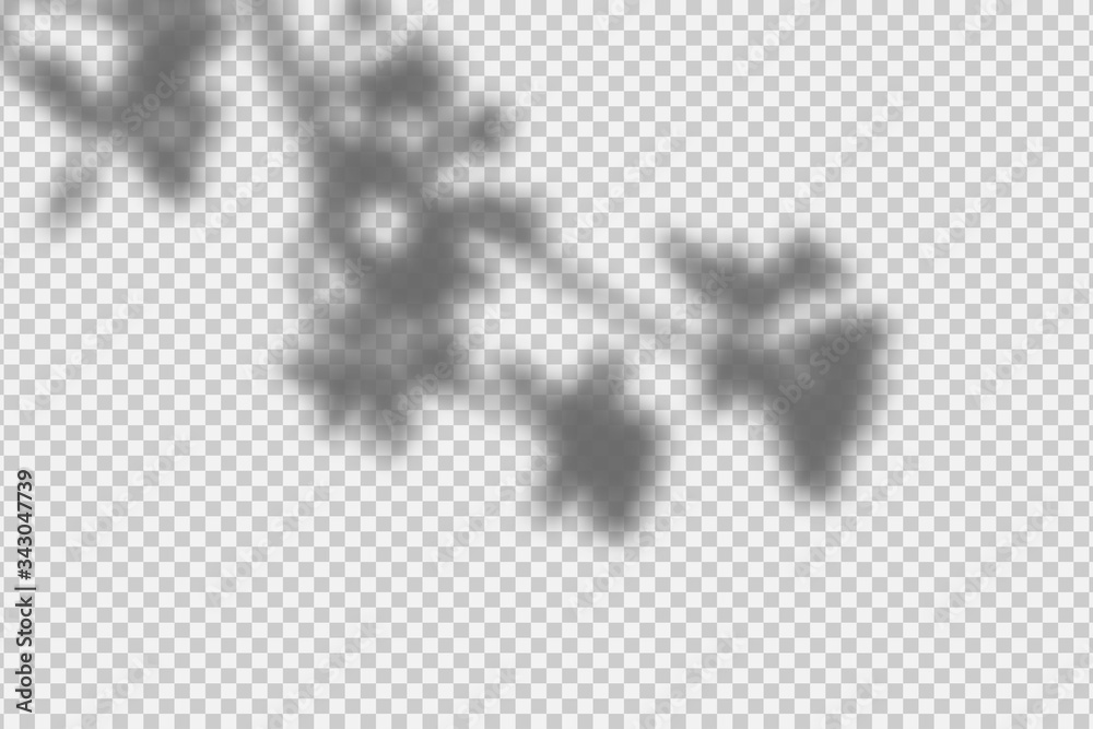 Poster shadow overlay effect. transparent overlay shadow from leaves, branches, plant and foliage. realisti