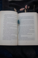 dry flowers in the book