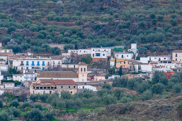 Fototapeta na wymiar The town of Jorairatar surrounded by olive trees