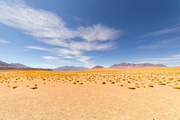 Fototapeta na wymiar Panoramic view of Siloli Desert, in Bolivia