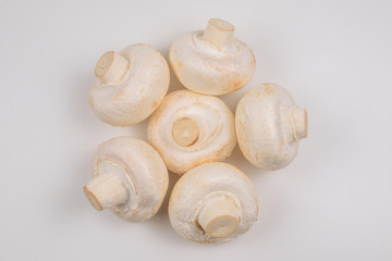 Champignon mushroom isolated on white background.