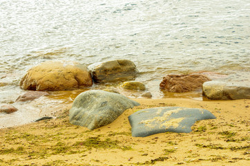 Stones washing off the seashore with algae