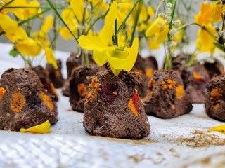 gobbemma close up during Sankranti Festival with crow dung