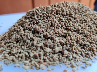 Obraz premium Herbal ajwain seeds over white background