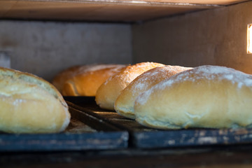 Bread loaves in a baking oven