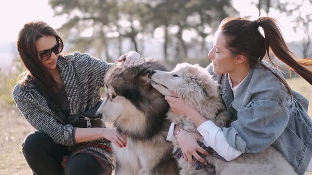 Two women are walking with their dogs in the field. The girls are hugging the pets and are happy to chill out together.