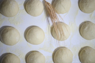 Panetti di impasto di farina di grano in lievitazione
