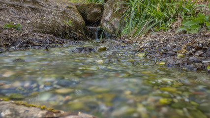 Kleiner Wasserlauf im Park mit unscharfem Vordergrund