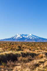 Tongariro mountain. Portrait of Mountain. Valley of Three Volcanoes. North Island. New Zealand
