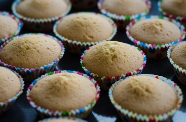 cupcakes on a tray