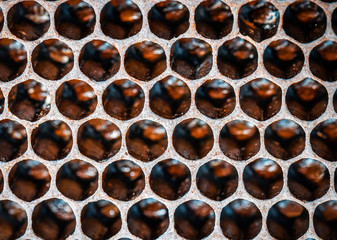 symmetrical honeycombs texture