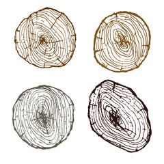 cross section of tree stump