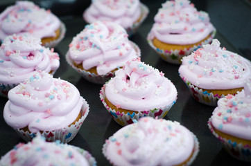 cupcakes with pink icing and sprinkles
