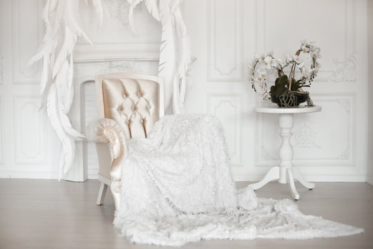 Modern Armchair With Fur Before Feathers Wall In White Interior.