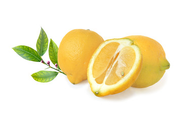 Lemons  with half and sprig isolated on white