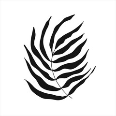 Black tropical leaf silute on an isolated white background. Botanical tree branches, palm leaf on the stem. Spring summer leaf. Concept design logo icon for the application. Vector illustration.