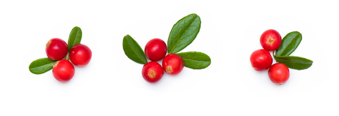 Beautiful set of fresh red cowberry berries