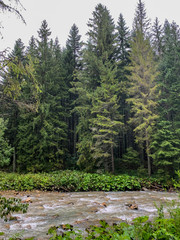 Obraz premium Trekking in the Kościeliska Valley, Tatra mountains.