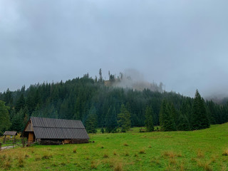 Trekking in the Kościeliska Valley, Tatra mountains.