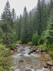 Trekking in the Kościeliska Valley, Tatra mountains.