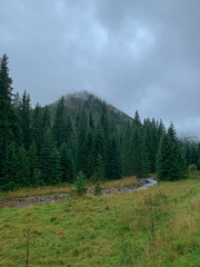 Trekking in the Kościeliska Valley, Tatra mountains.